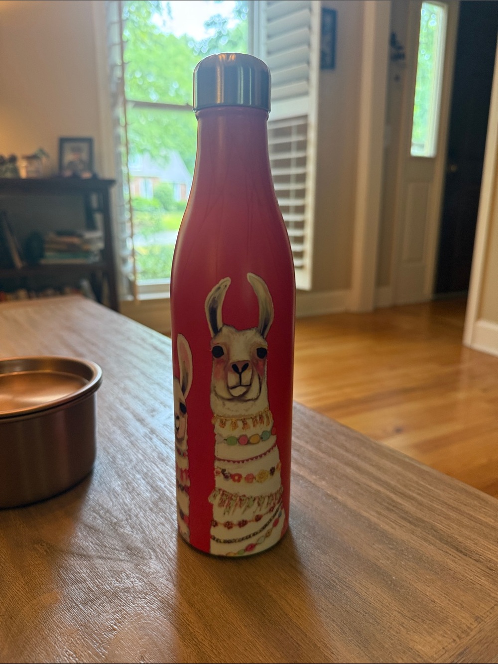 Red Llama Insulated Water Bottle